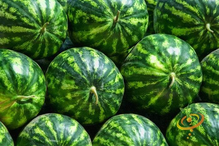 Fresh Crimson Sweet watermelon seeds from SeedsNow, shown in a clear image with vibrant green seed packet and seed details.