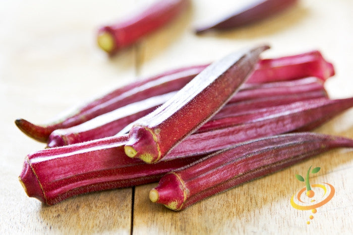 Close-up of fresh red burgundy okra pods on wooden surface, Okra - Red Burgundy seeds variety