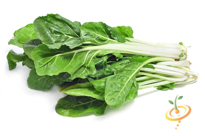 Order Fordhook Giant Swiss Chard seeds online from the USA. 60 days, Tender greens, for salads, steaming! Open-pollinated, USA-quality, NON-GMO organic seeds & more!