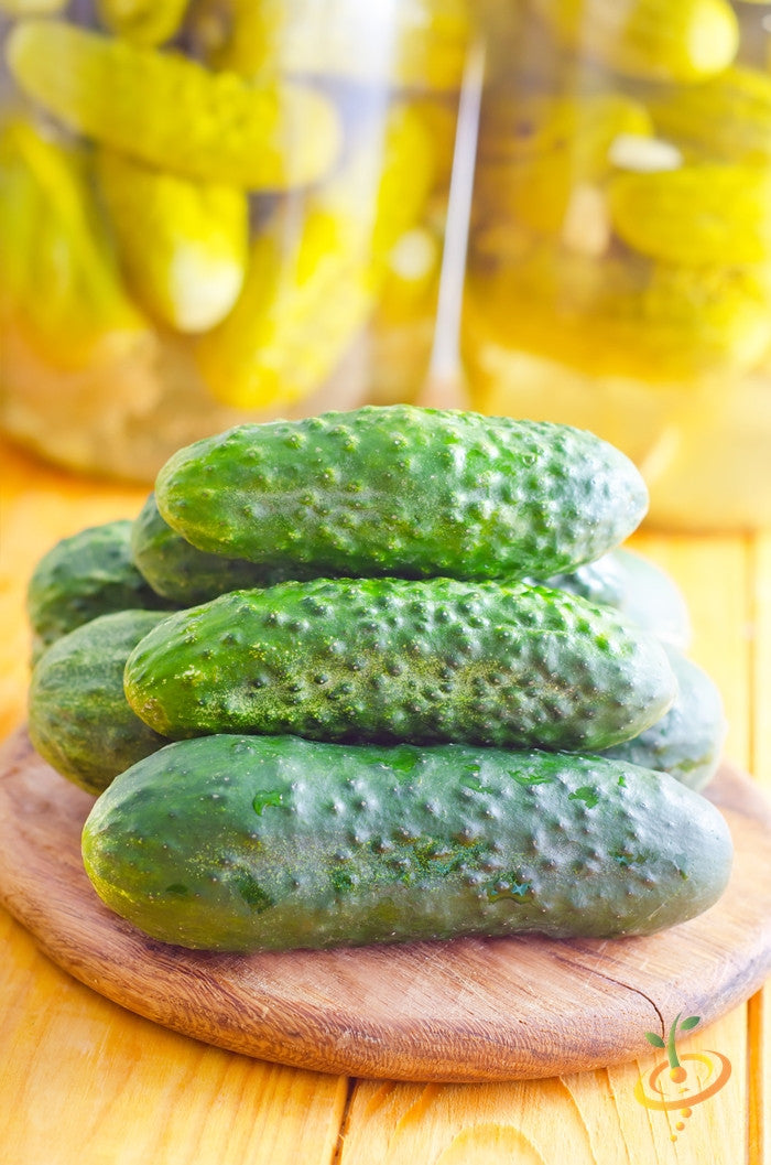 Fresh Homemade Pickles cucumbers stacked on a wooden cutting board with jars of pickles in the background
