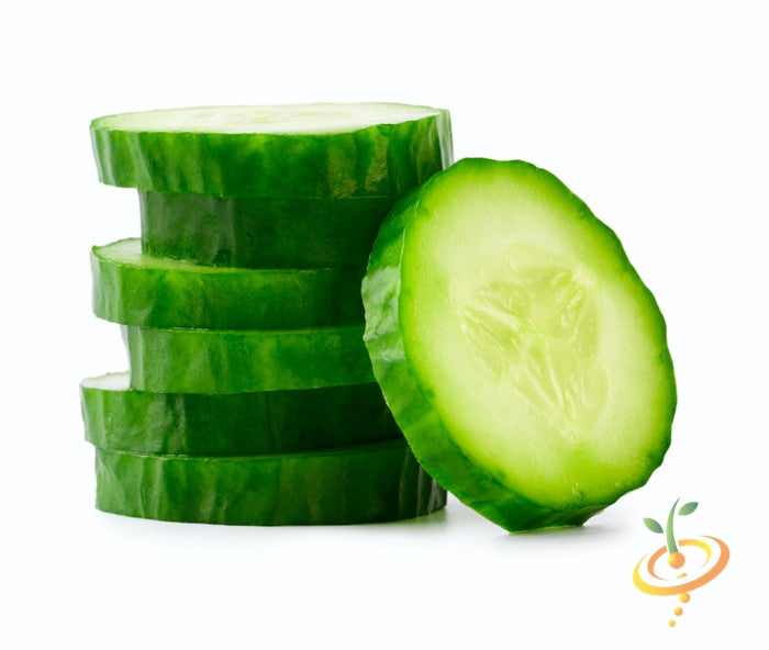 Sliced fresh green cucumber from Muncher seeds variety isolated on white background