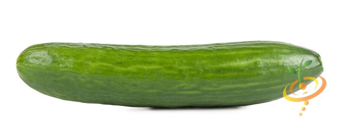 Fresh green cucumber from SeedsNow Ashley seeds, showing smooth skin and elongated shape on a white background.