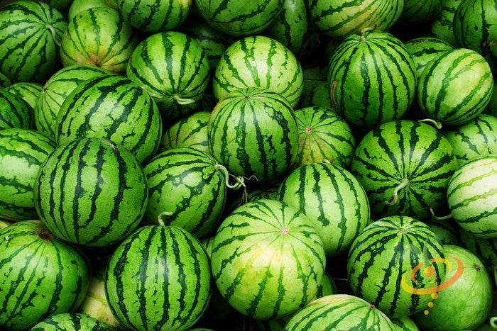 Crimson Sweet watermelon seeds by SeedsNow, close-up of vibrant green seeds on a white background.