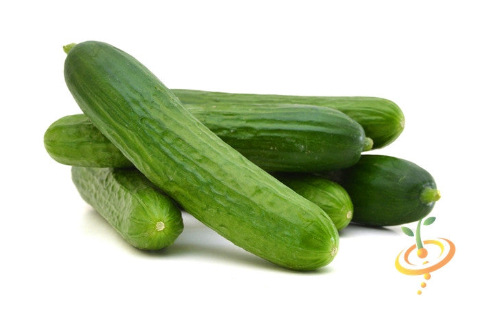 Fresh green Muncher cucumbers stacked on white background