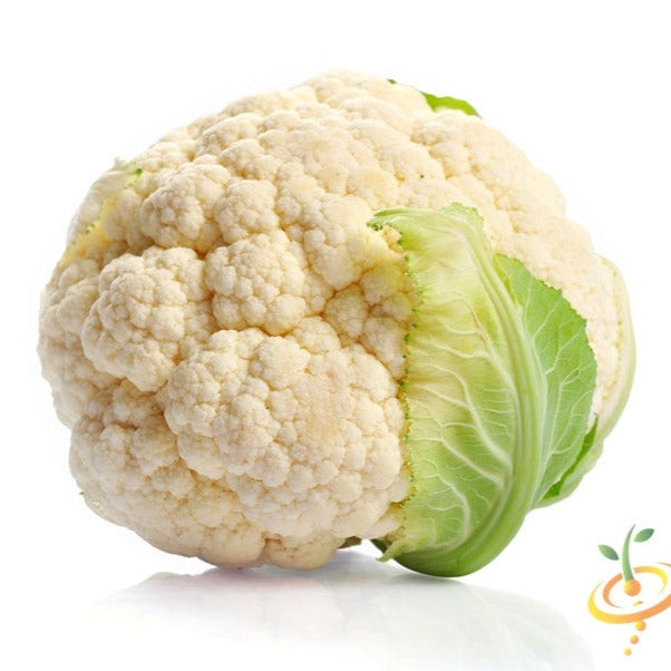 Buy high-quality Cauliflower seeds for Snowball/Self-blanche white cauliflower. Perfect for cool seasons, with a 65-day maturity, ideal for home gardening enthusiasts.