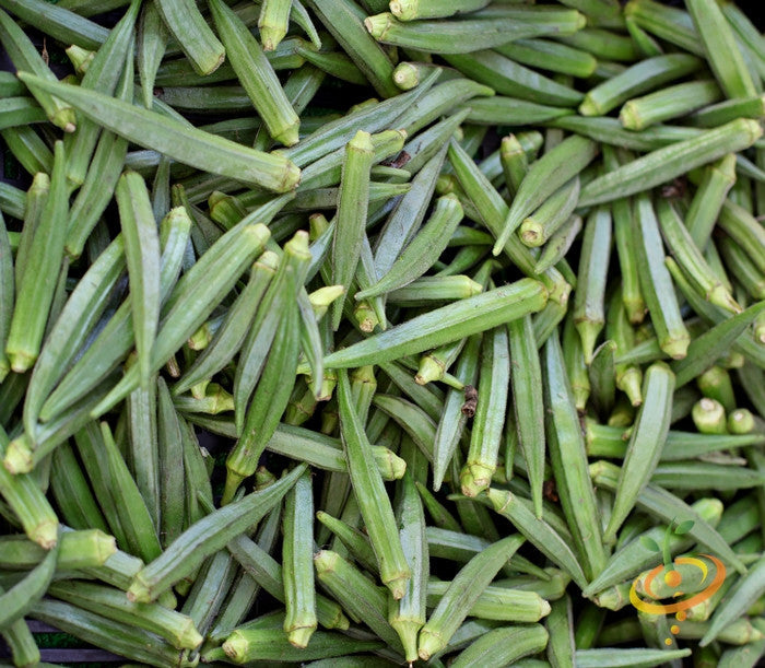 Emerald green velvet okra seeds from SeedsNow, showcasing vibrant seed details suitable for planting and gardening.