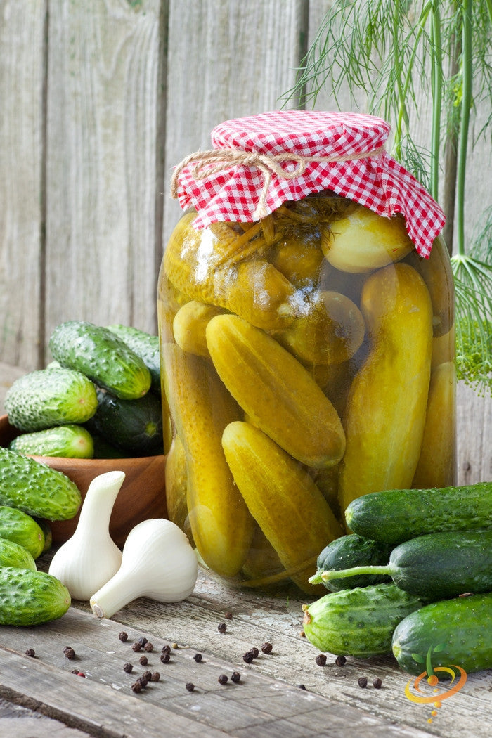 Jar of homemade pickles with cucumbers, garlic, and peppercorns on a rustic wooden table