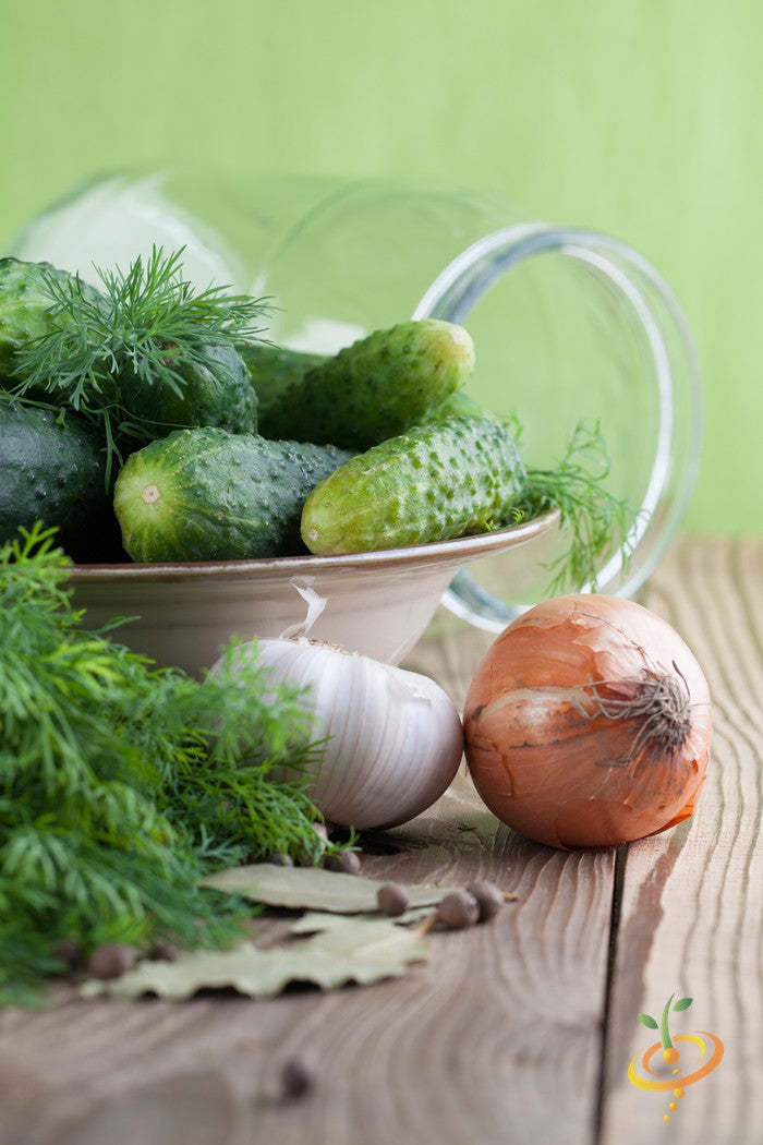 Fresh cucumbers with dill, onion, and garlic on wooden table with jar in background, National Pickling seeds concept