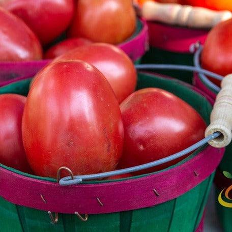 Tomato Roma seeds | Close-up of ripe Roma tomatoes in green baskets with purple rims, showing smooth, egg-shaped plum tomatoes ideal for growing from Roma tomato seeds
