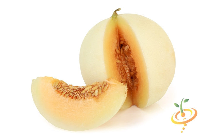 Melon honeydew with sweet orange flesh and seeds cut open on white background