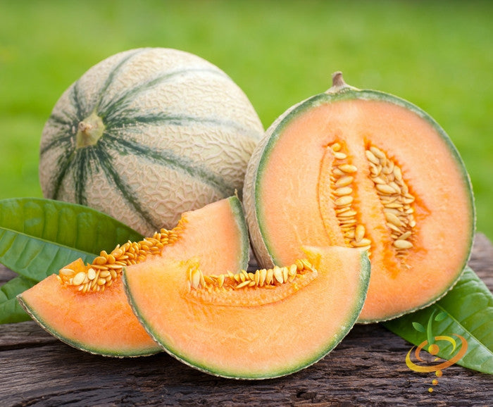 Hales Best Jumbo cantaloupe melon whole and sliced showing orange flesh and seeds on wooden surface with green background