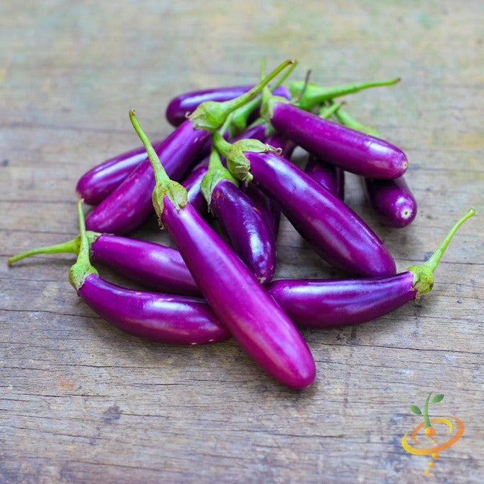 Buy Long Ping Tung Eggplant seeds for sale online in the USA. Not bitter, No peeling required. Open-pollinated, USA-quality, Heirloom, NON-GMO organic seeds & more!