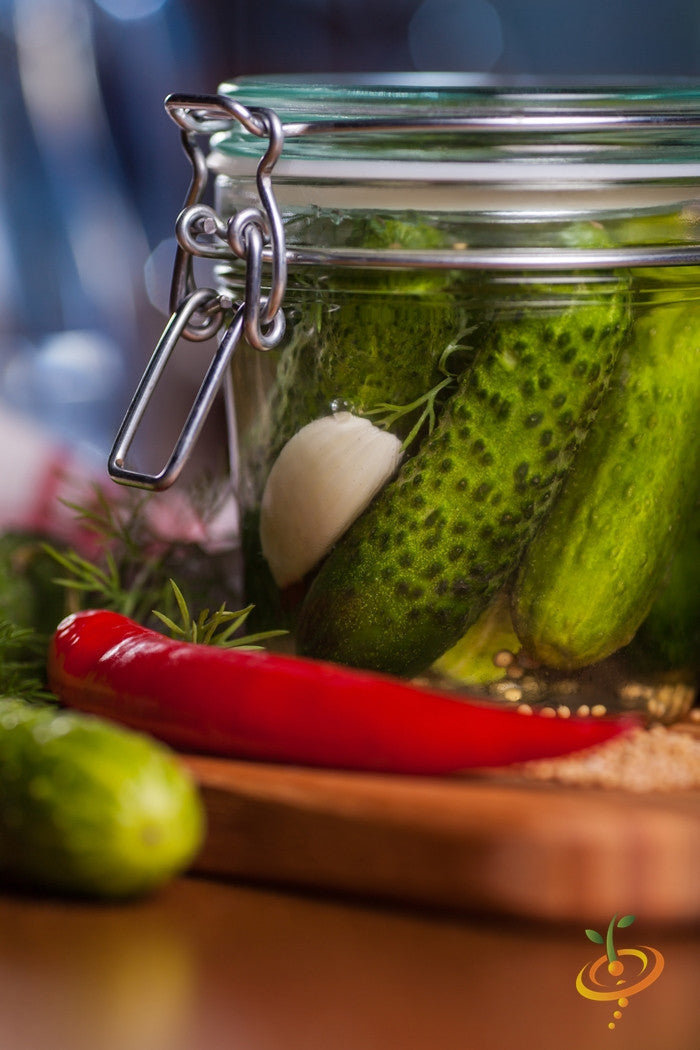 Close-up of fresh Boston Pickling cucumber seeds from SeedsNow, showcasing their small, round seeds in a natural setting.