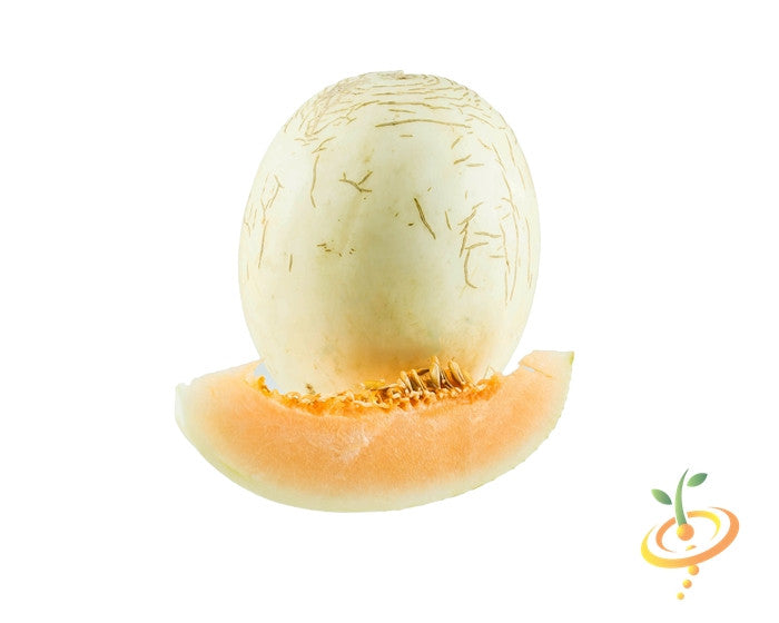 Whole white melon with orange flesh slice and seeds on a white background