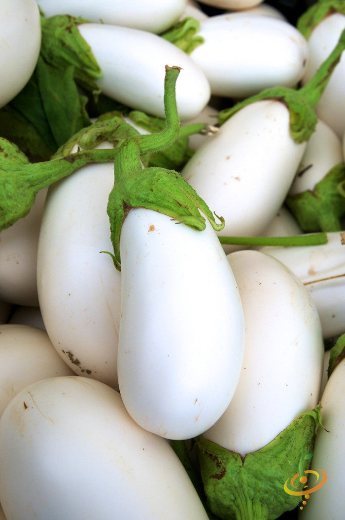 Close-up of rare white heirloom eggplants with green stems and smooth ivory-white skin