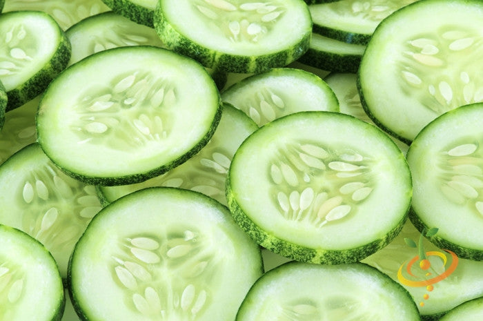 Everbearing cucumber seeds by SeedsNow, showing fresh cucumber seedlings with green leaves and sprouting stems.