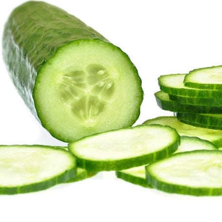 Tendergreen Burpless Cucumber seeds online from the USA. Perfect for pickling and fresh eating! Open-pollinated USA-quality, Heirloom, NON-GMO organic seeds & more!