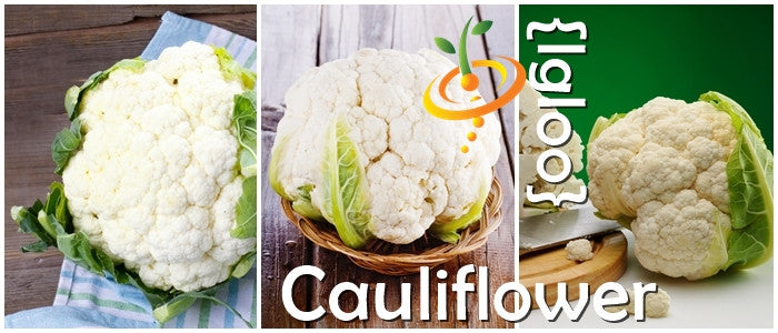 Cauliflower - Igloo.