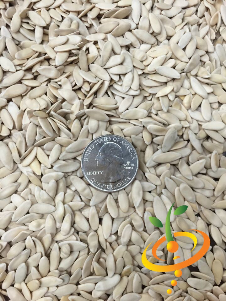 White Armenian cucumber seeds from SeedsNow, featuring elongated, smooth cucumbers with a pale white skin and crisp texture.