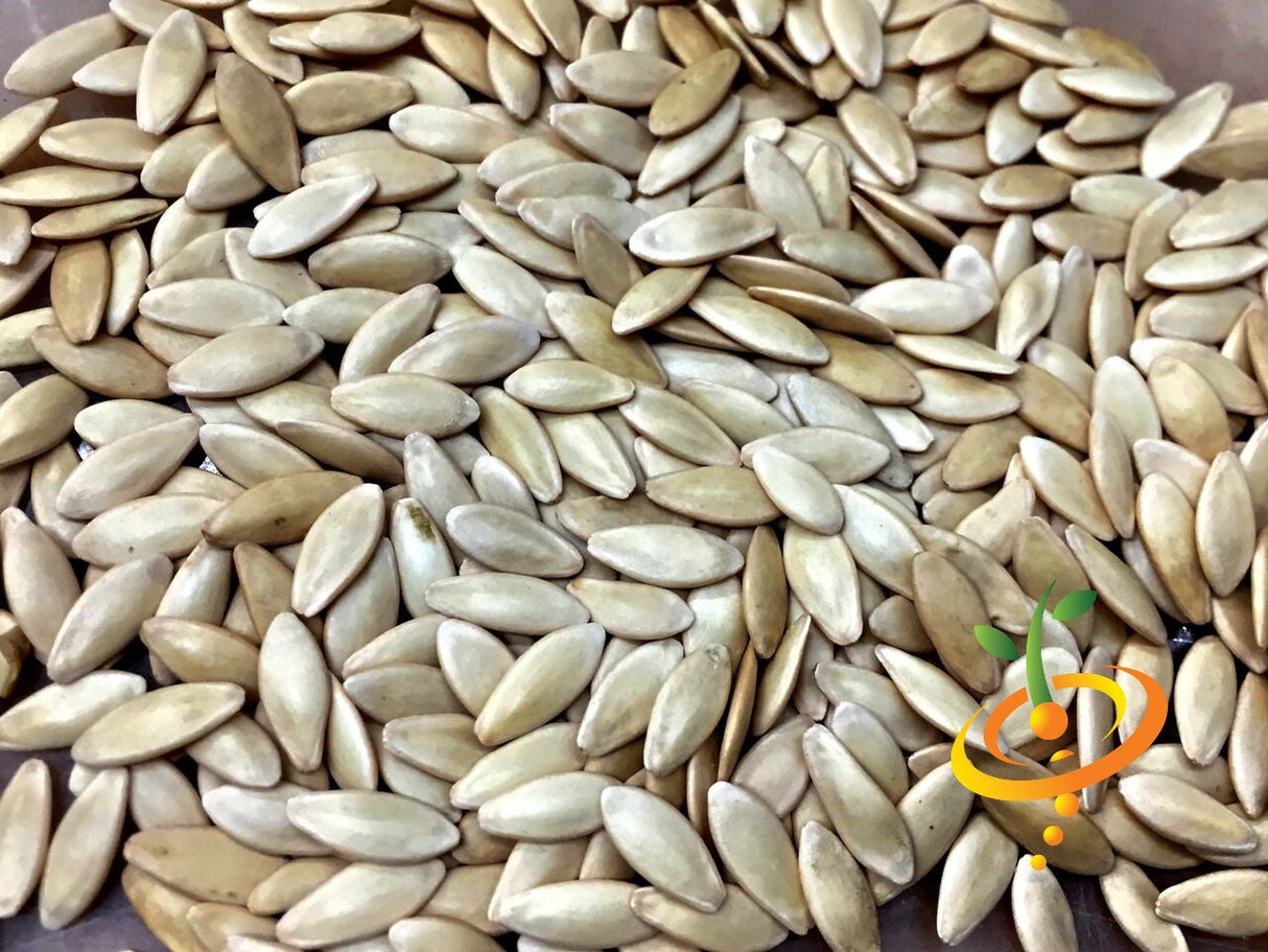 Everbearing cucumber seeds from SeedsNow showing fresh green cucumber seedlings ready for planting.
