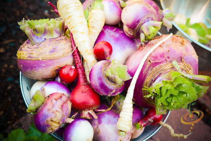 Fresh purple top white globe turnips with green leaves in a bowl, showcasing smooth round roots and vibrant colors