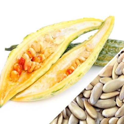 Close-up of Melon banana seeds from SeedsNow, showing the small, oval-shaped seeds suitable for planting or culinary use.