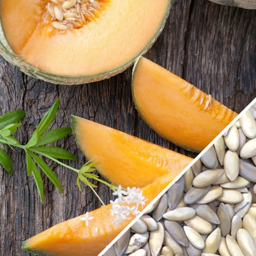 Hales Best Jumbo cantaloupe with orange flesh and seeds on wooden surface