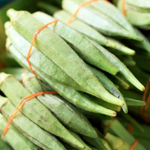 Emerald green velvet okra seeds from SeedsNow, showing vibrant seed packets with detailed labeling for gardening.