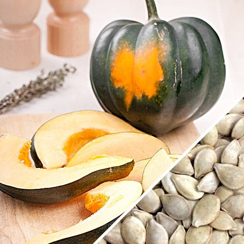Acorn Table Queen winter squash seeds from SeedsNow, showing vibrant green acorn-shaped squash with smooth skin and distinct ridges.