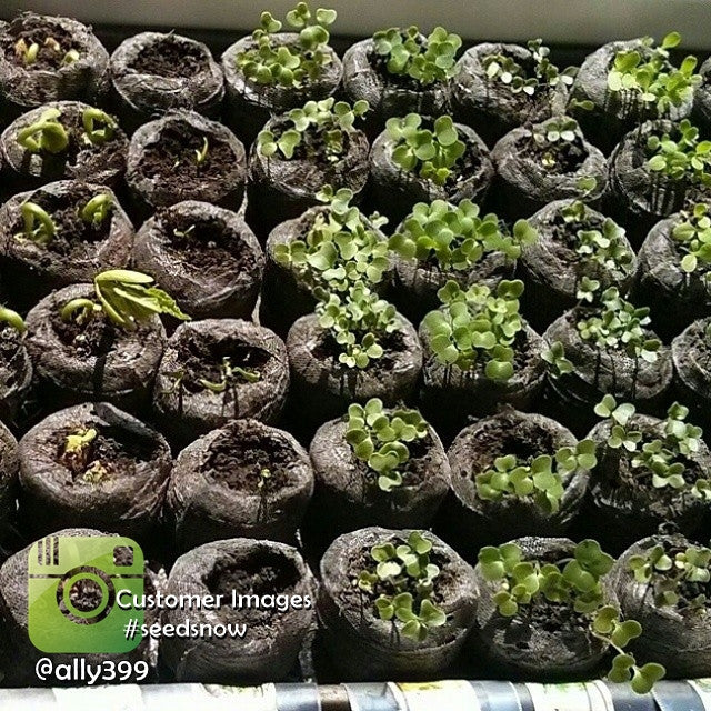 Seed Starting Soil Pellets