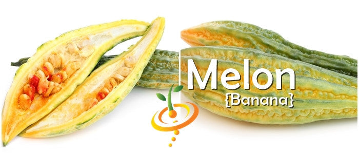 Fresh melon and banana seeds from SeedsNow, displayed in a clear container with colorful labels, ready for planting.