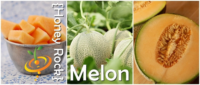 Honey Rock seeds cantaloupe melon fruit whole and sliced with cubed melon in bowl