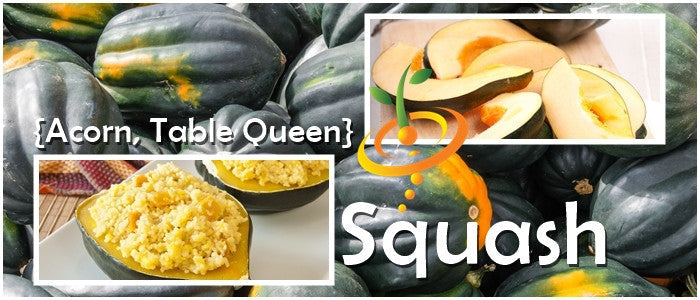 Winter acorn squash from SeedsNow, whole green and orange acorn-shaped squash with smooth skin and a tapered stem.