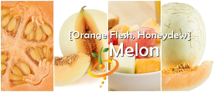 Close-up of orange flesh honeydew melon seeds and sliced orange flesh honeydew melon with white rind