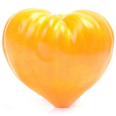 Buy Tomato Oxheart Yellow Seeds (Indeterminate) seeds from the USA!