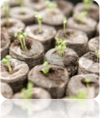Seed Starting Soil Pellets