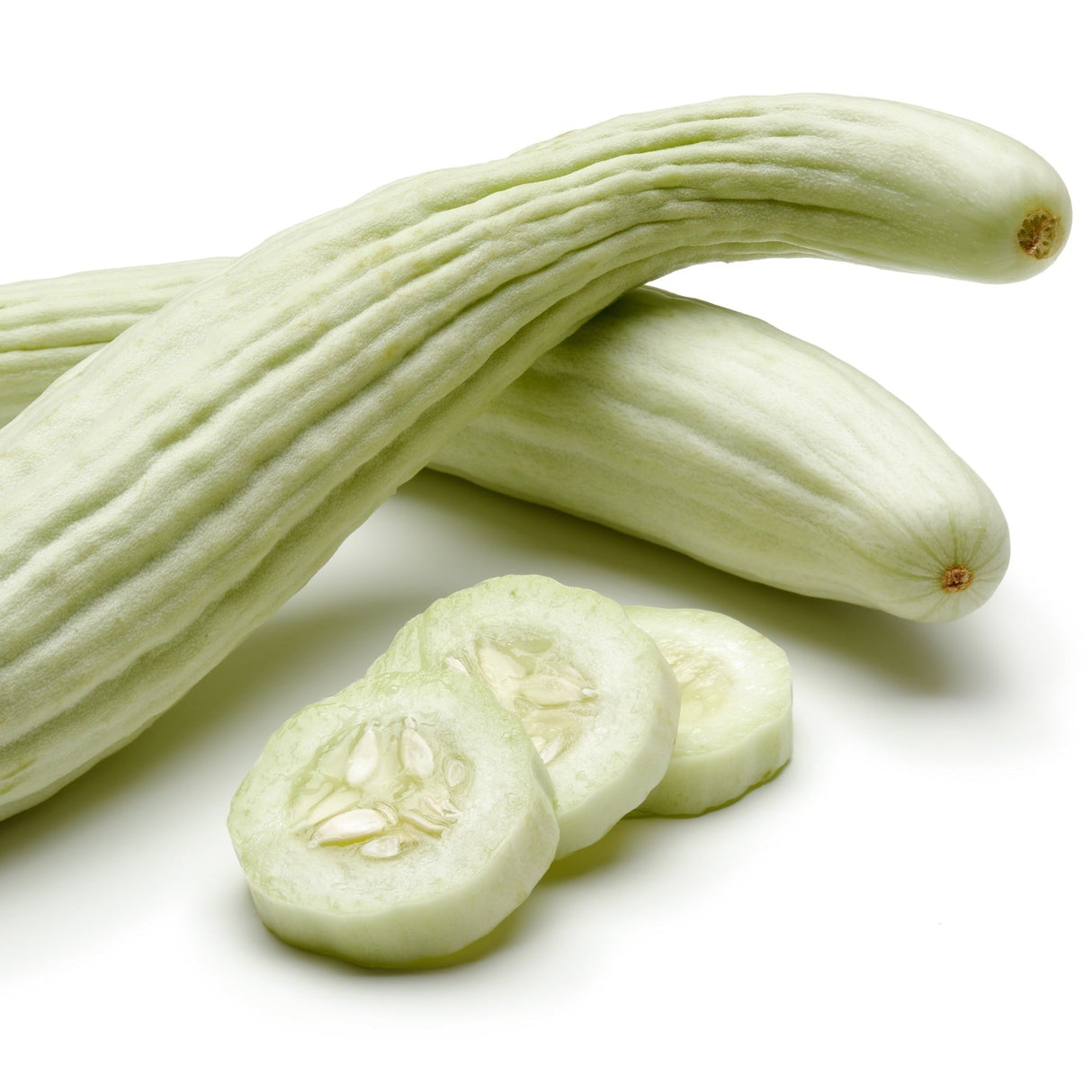 White Armenian cucumber seeds from SeedsNow, featuring elongated white cucumber with smooth skin and serpentine shape.