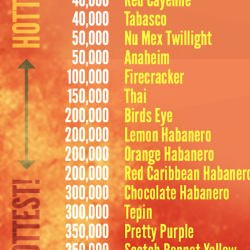 How Hot Will My Peppers Be? Scoville Scale Heat-Ranking for Hot Peppers!