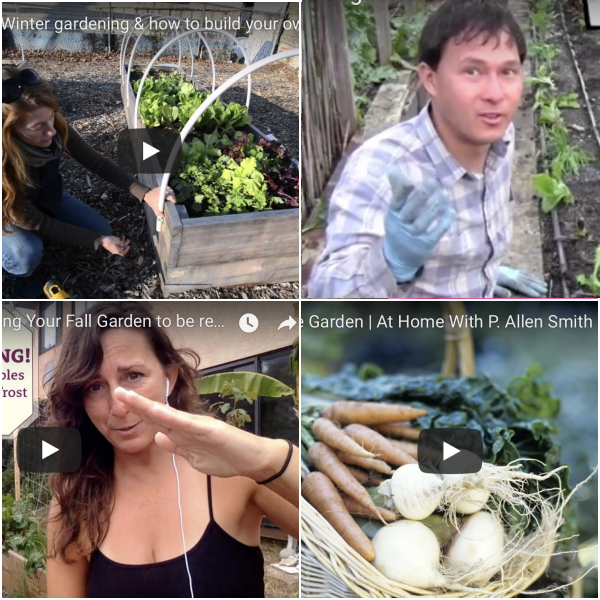 Our TOP 10 Favorite Fall & Winter Gardening YouTube Videos!