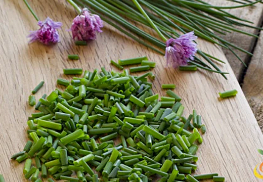 *New!* 50-in-One Complete Garden Abundance Collection (with Black Seed Storage Vault)
