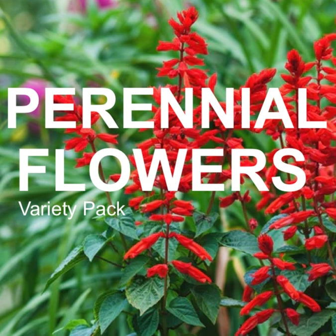 *NEW!* Perennial Flowers Variety Pack