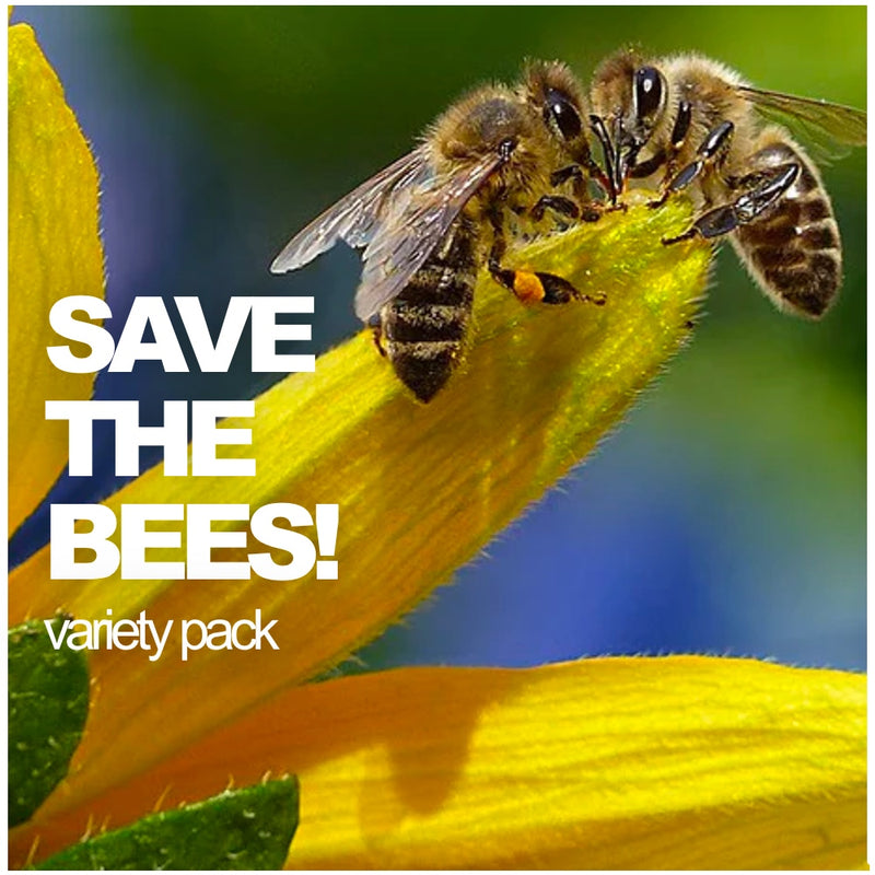 All-in-One SAVE THE BEES! Garden Variety Pack - SeedsNow.com