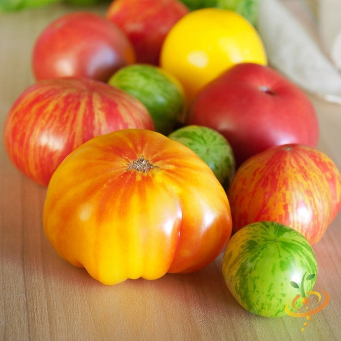 Tomato - Heritage Rainbow Mix (Indeterminate) - SeedsNow.com