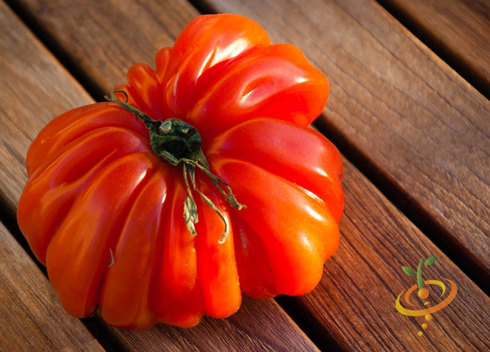 Tomato - Beefsteak/Ponderosa Red [INDETERMINATE].