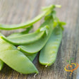 Pea - Oregon Sugar Pod - SeedsNow.com