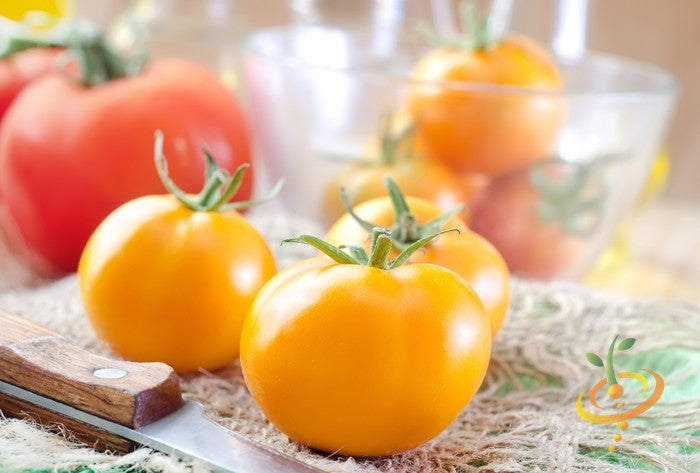Tomato - Jubilee [INDETERMINATE].