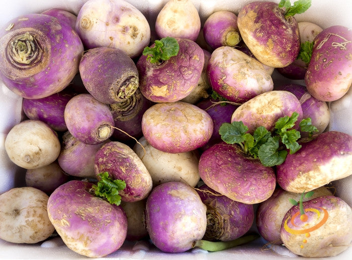 Turnip - Purple Top White Globe.