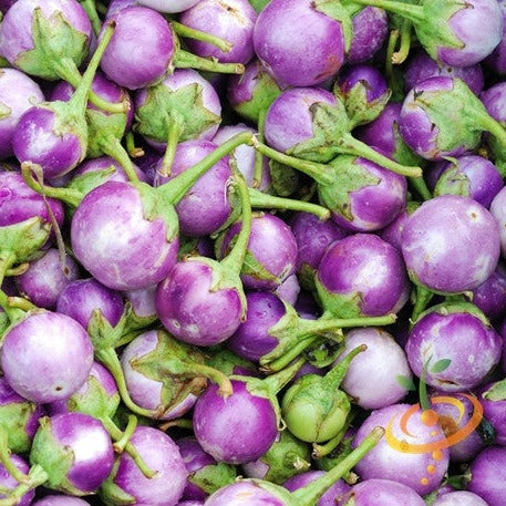 Eggplant - Round Mauve - SeedsNow.com