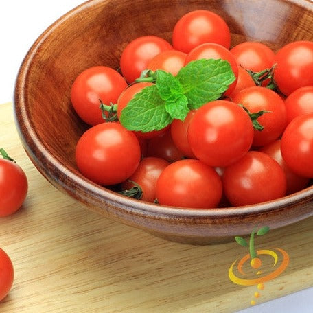 Tomato - Tiny Tim (Determinate) - SeedsNow.com