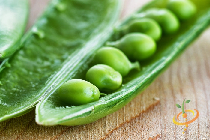 Pea - Sugar Snap.